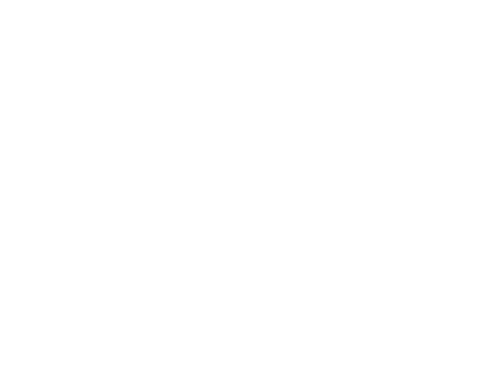 Logo white