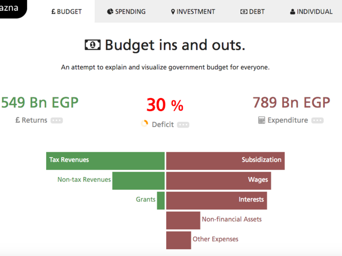 Budget Visualization