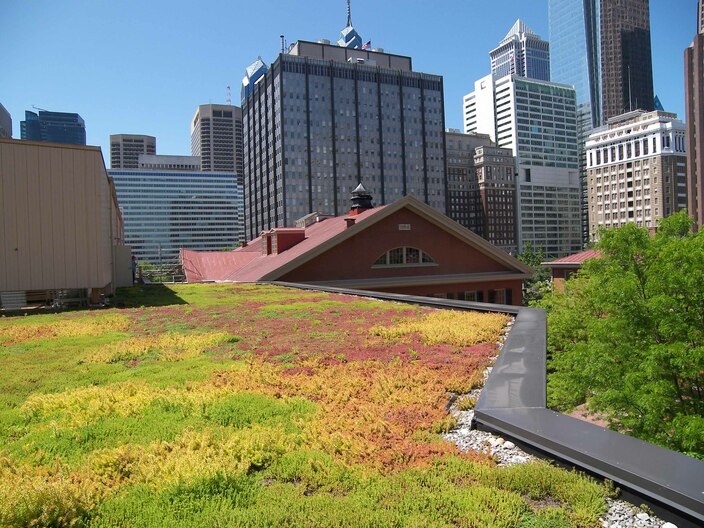 Greenroof: Friends Center, David Brothers Landscaping