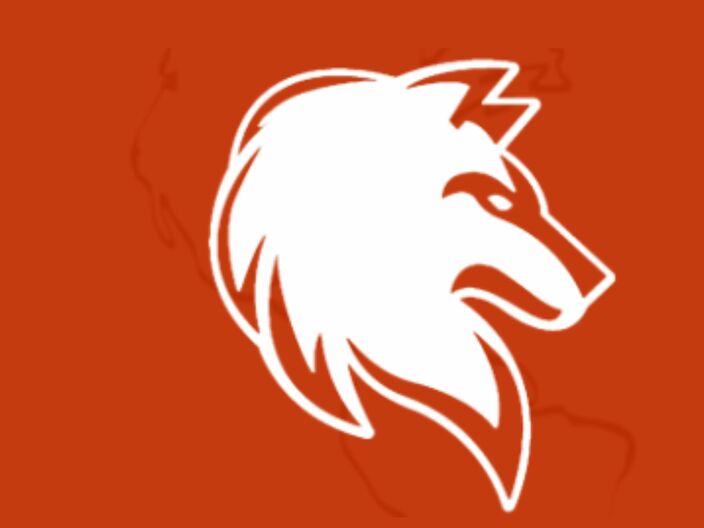 wolf CFD is a trading platform for Stock, Commodity, Forex, and Crypto. Our goal is to make investing transparent and simple. We also provide a secure and easy-to-use online stock trading platform.https://wolfcfd.com/