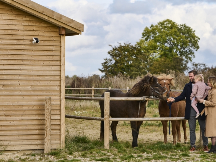 Safetify Outdoor Solar Camera horses